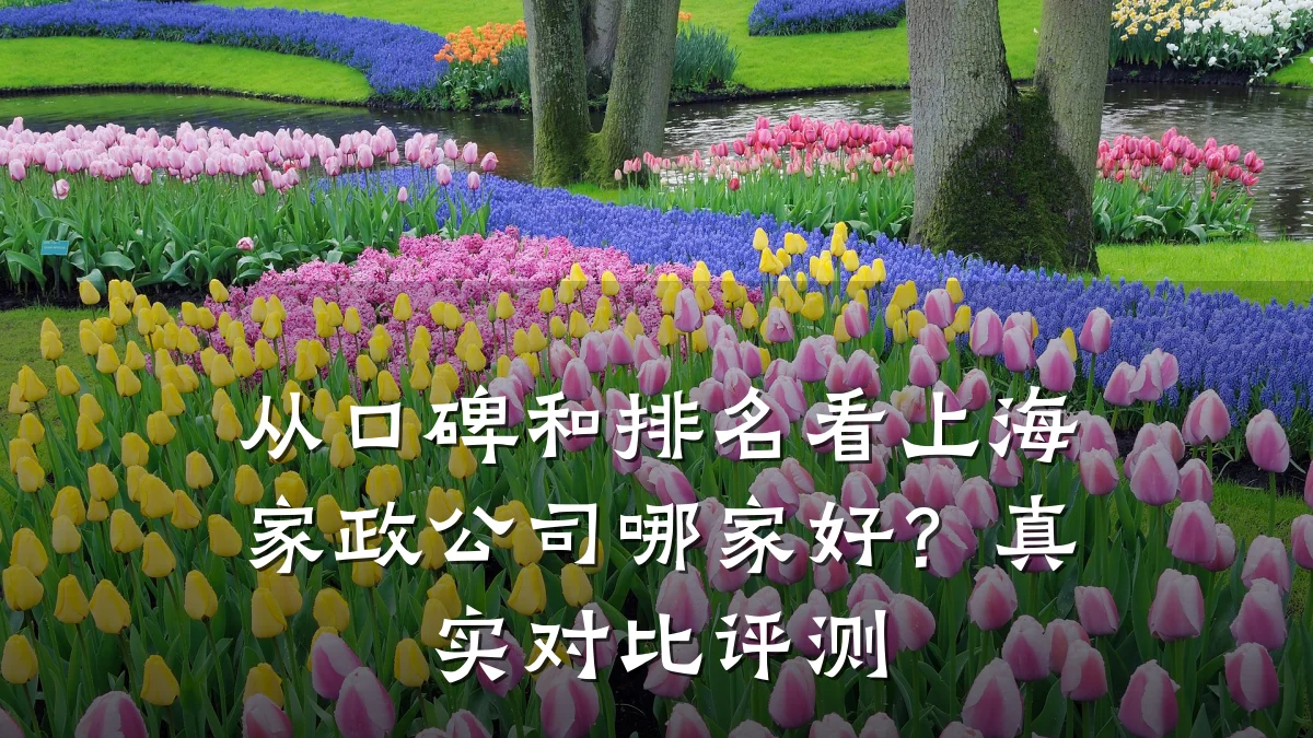 从口碑和排名看上海家政公司哪家好?真实对比评测