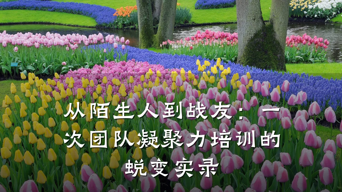 从陌生人到战友：一次团队凝聚力培训的蜕变实录