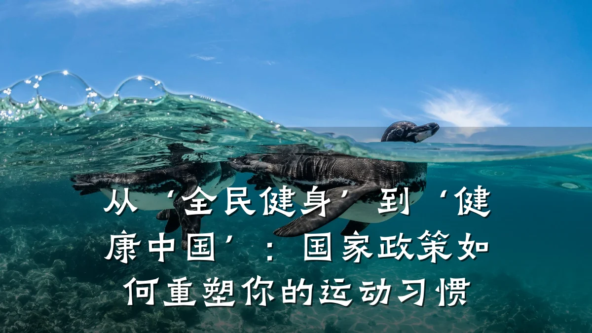 从‘全民健身’到‘健康中国’:国家政策如何重塑你的运动习惯