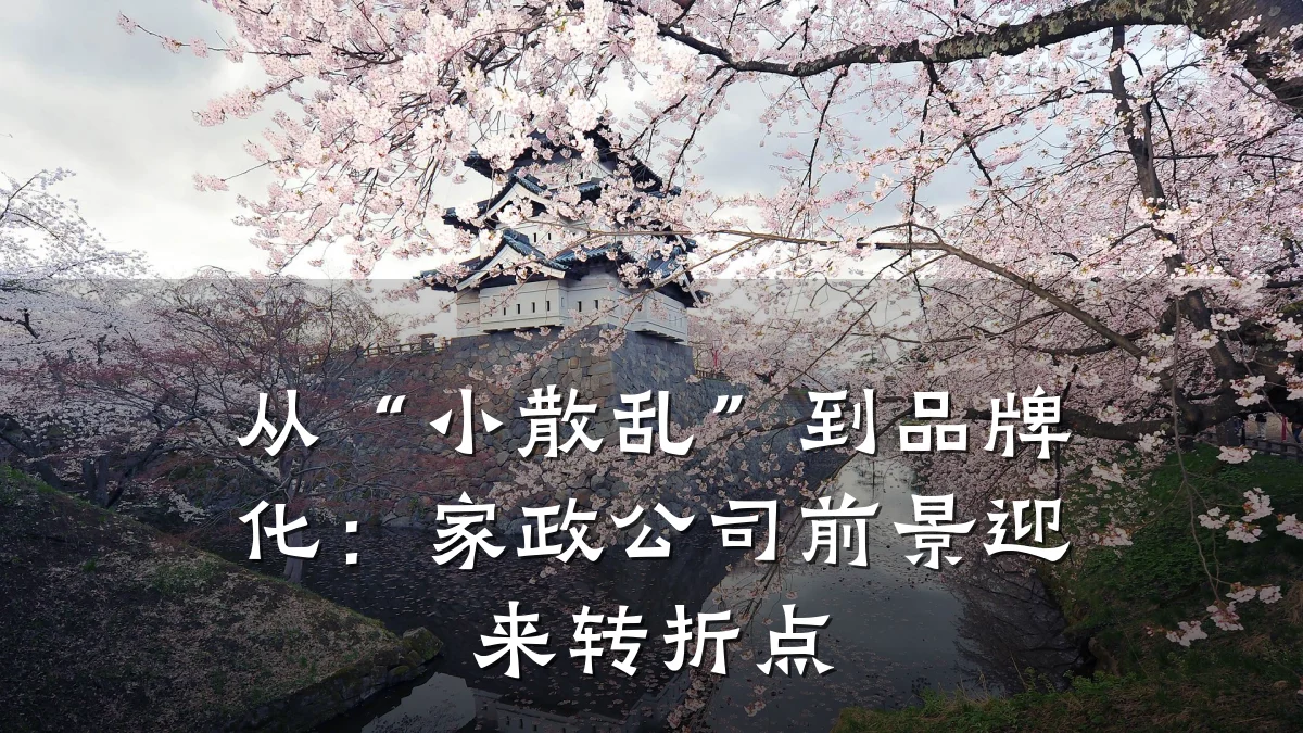 从“小散乱”到品牌化:家政公司前景迎来转折点