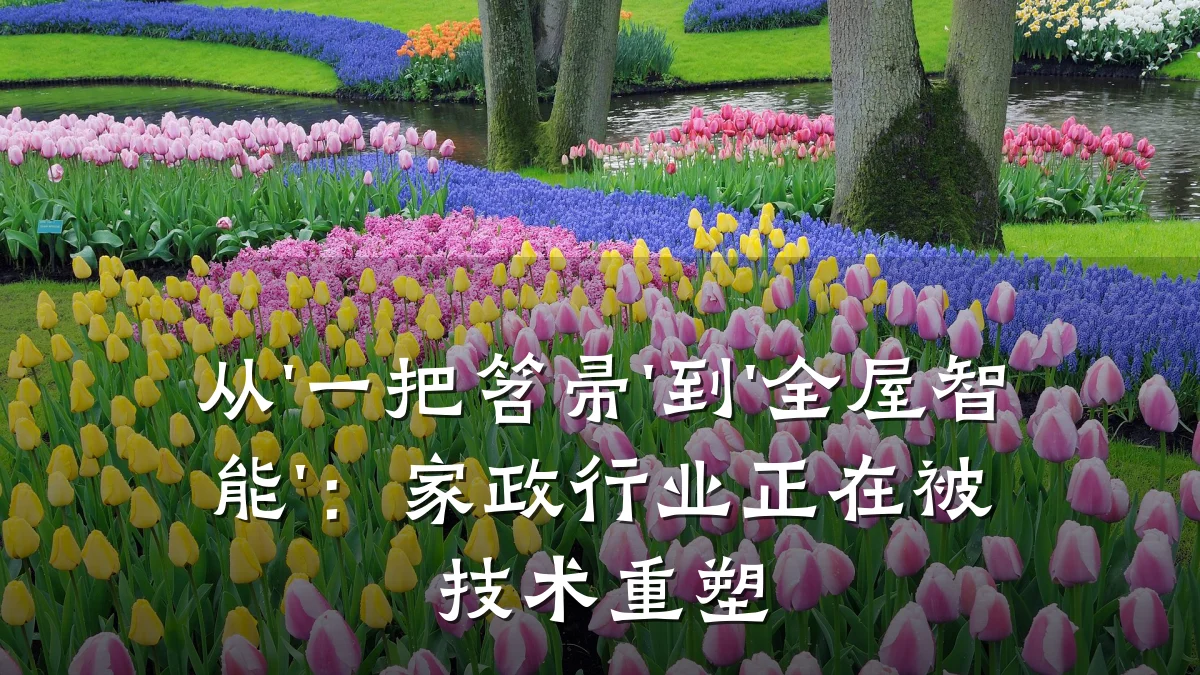 从'一把笤帚'到'全屋智能'：家政行业正在被技术重塑