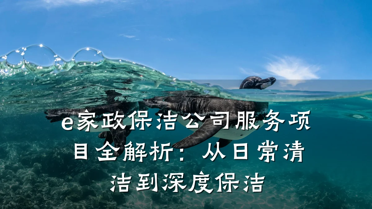e家政保洁公司服务项目全解析:从日常清洁到深度保洁