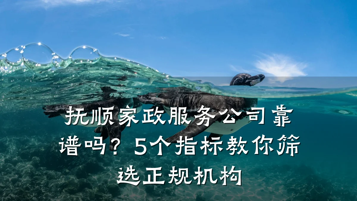 抚顺家政服务公司靠谱吗?5个指标教你筛选正规机构