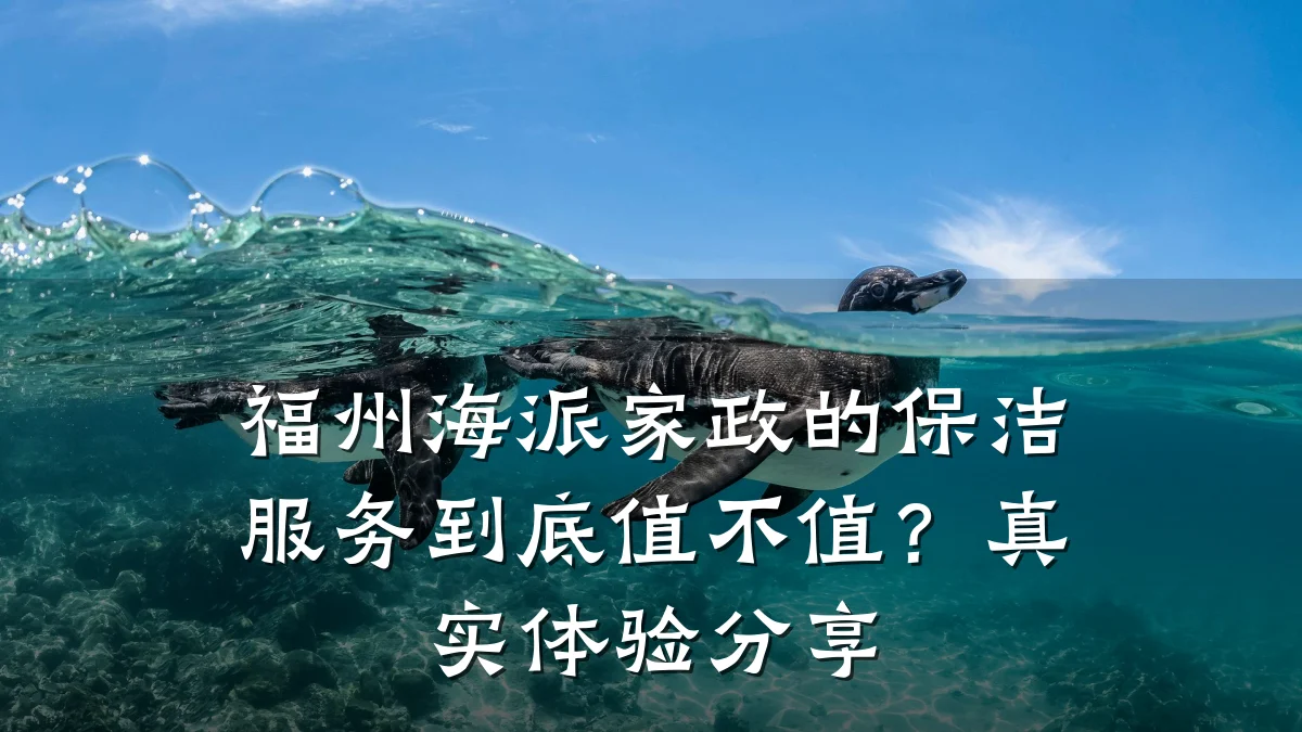 福州海派家政的保洁服务到底值不值?真实体验分享