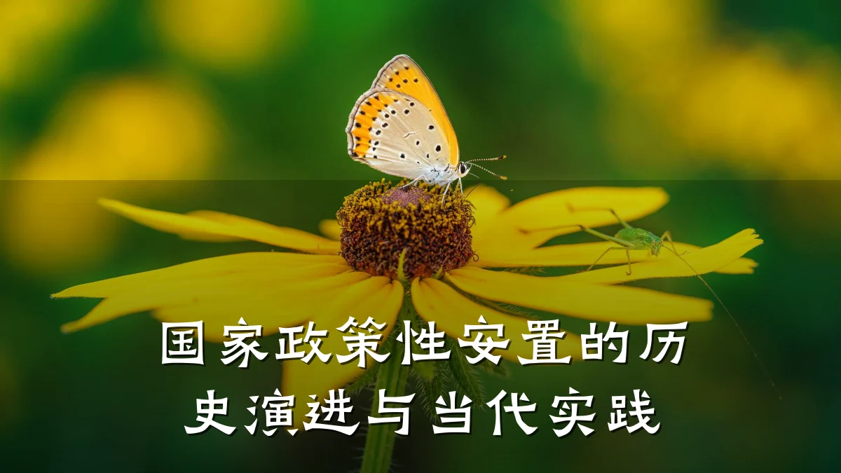 国家政策性安置的历史演进与当代实践