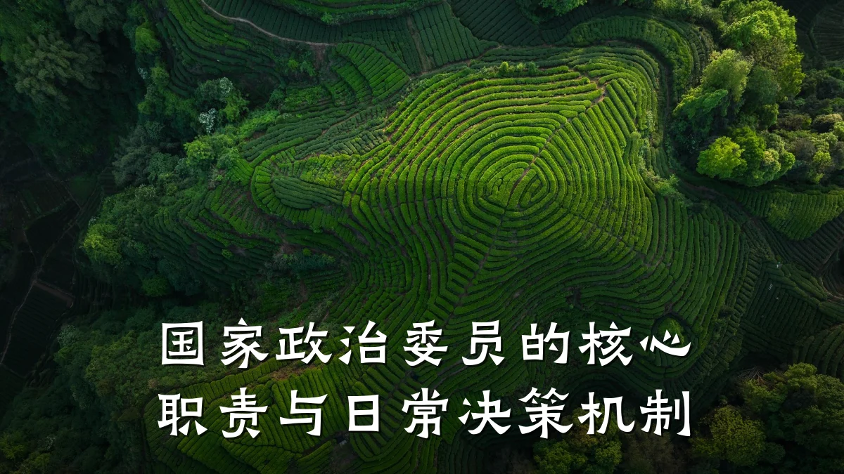 国家政治委员的核心职责与日常决策机制