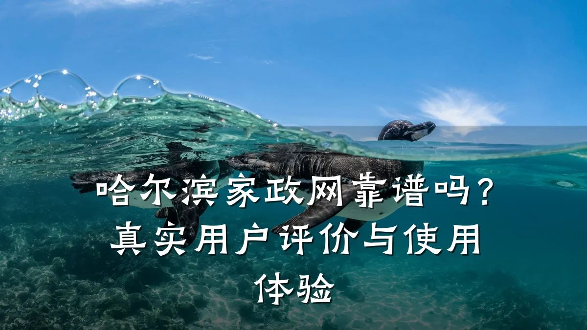 哈尔滨家政网靠谱吗?真实用户评价与使用体验