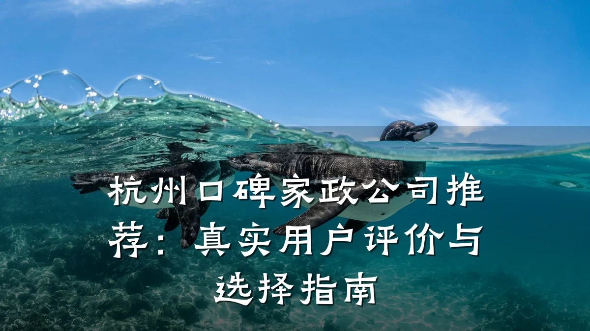 杭州口碑家政公司推荐:真实用户评价与选择指南