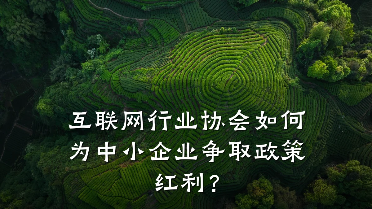互联网行业协会如何为中小企业争取政策红利?