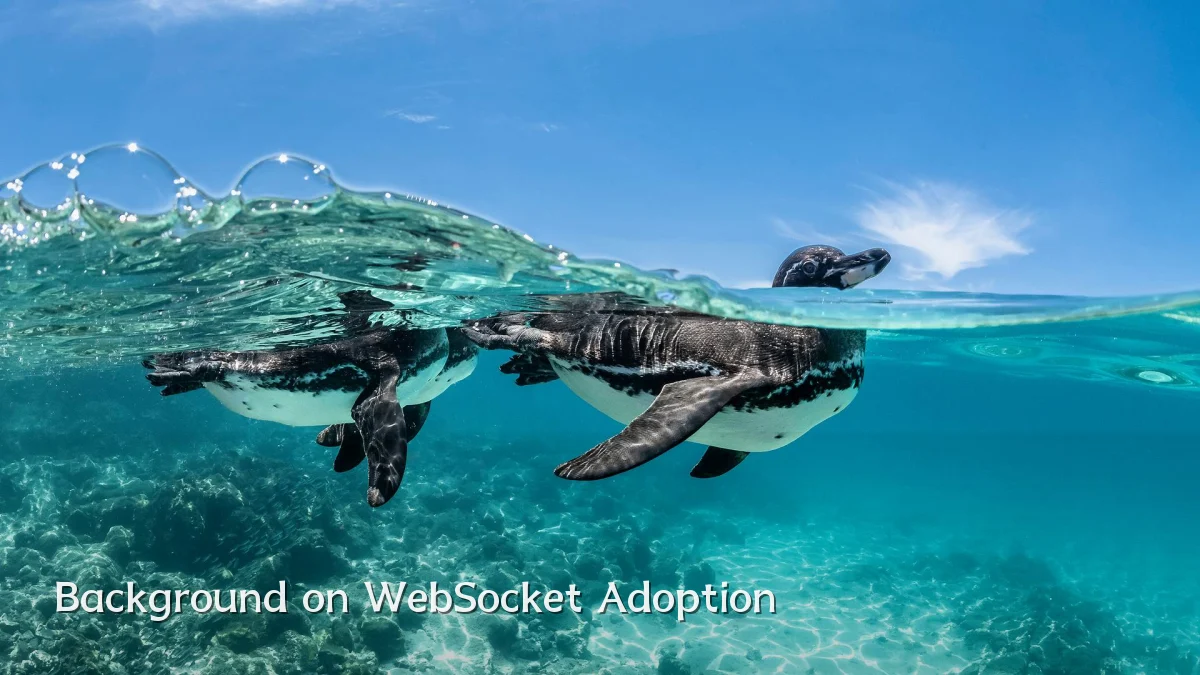 Background on WebSocket Adoption
