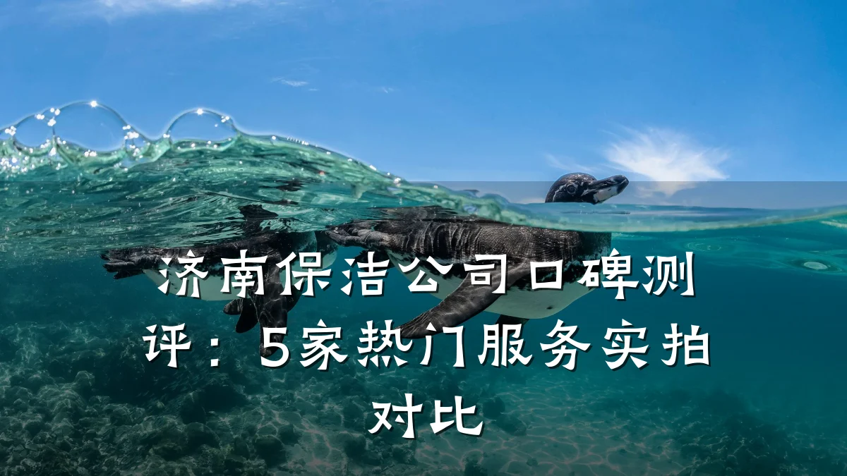 济南保洁公司口碑测评:5家热门服务实拍对比