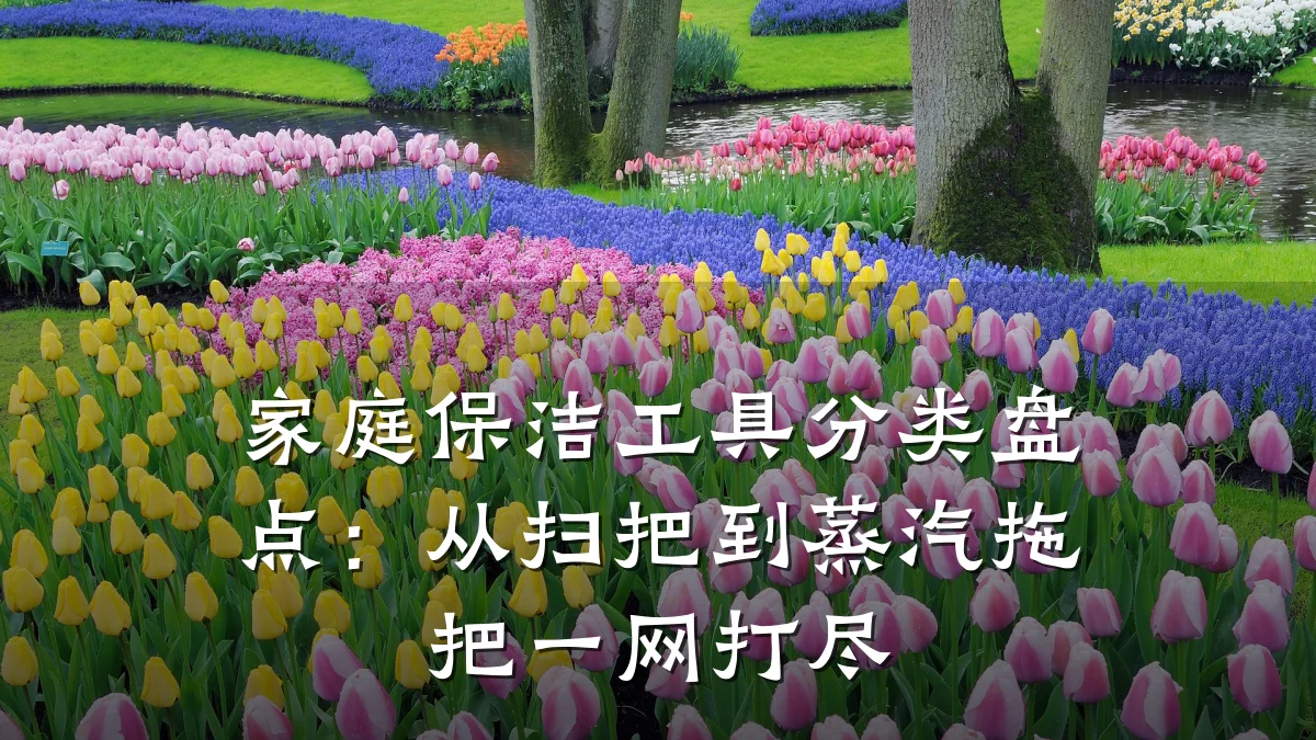 家庭保洁工具分类盘点：从扫把到蒸汽拖把一网打尽