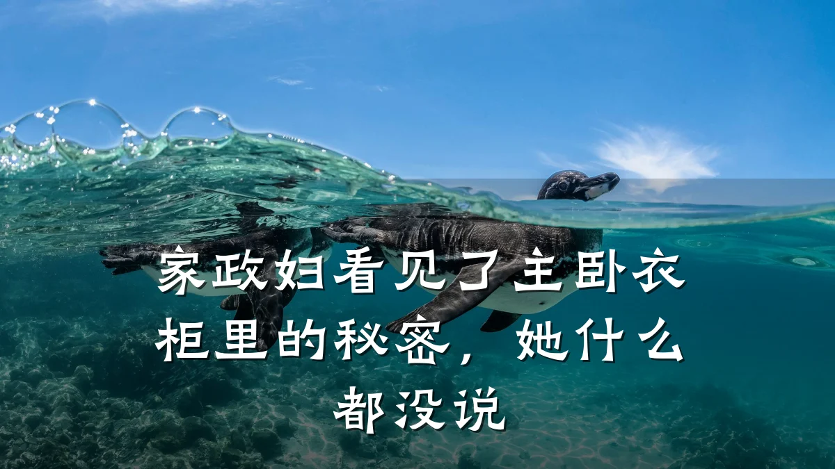 家政妇看见了主卧衣柜里的秘密，她什么都没说