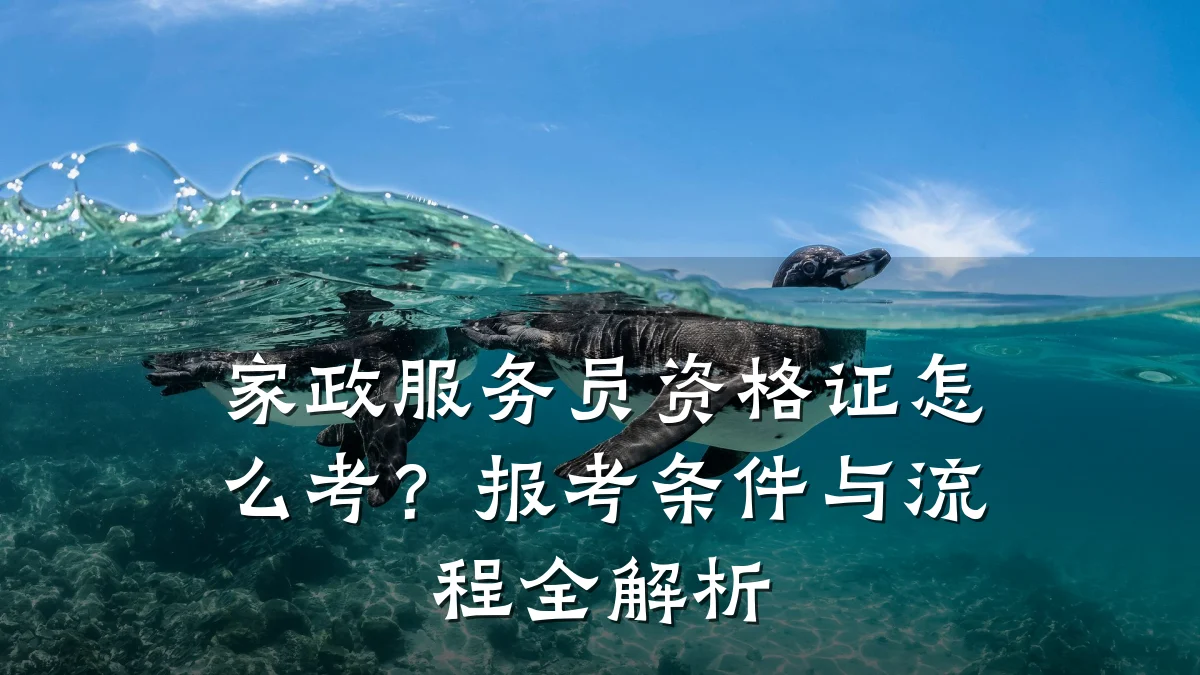 家政服务员资格证怎么考?报考条件与流程全解析