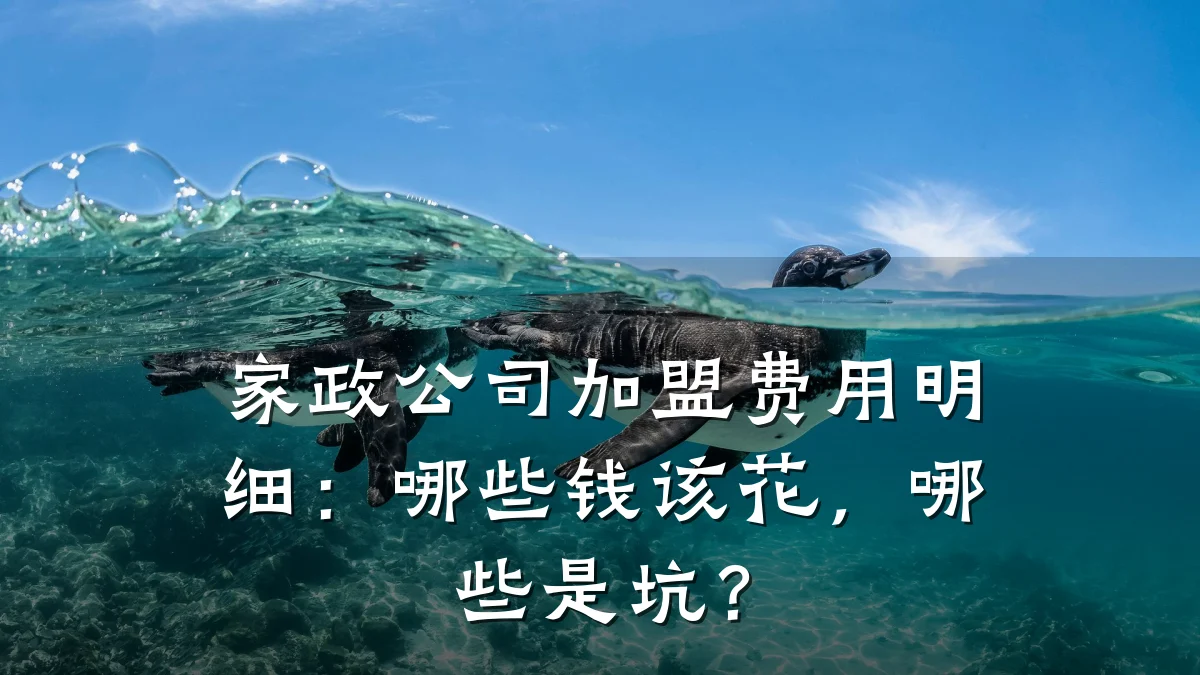 家政公司加盟费用明细:哪些钱该花,哪些是坑?