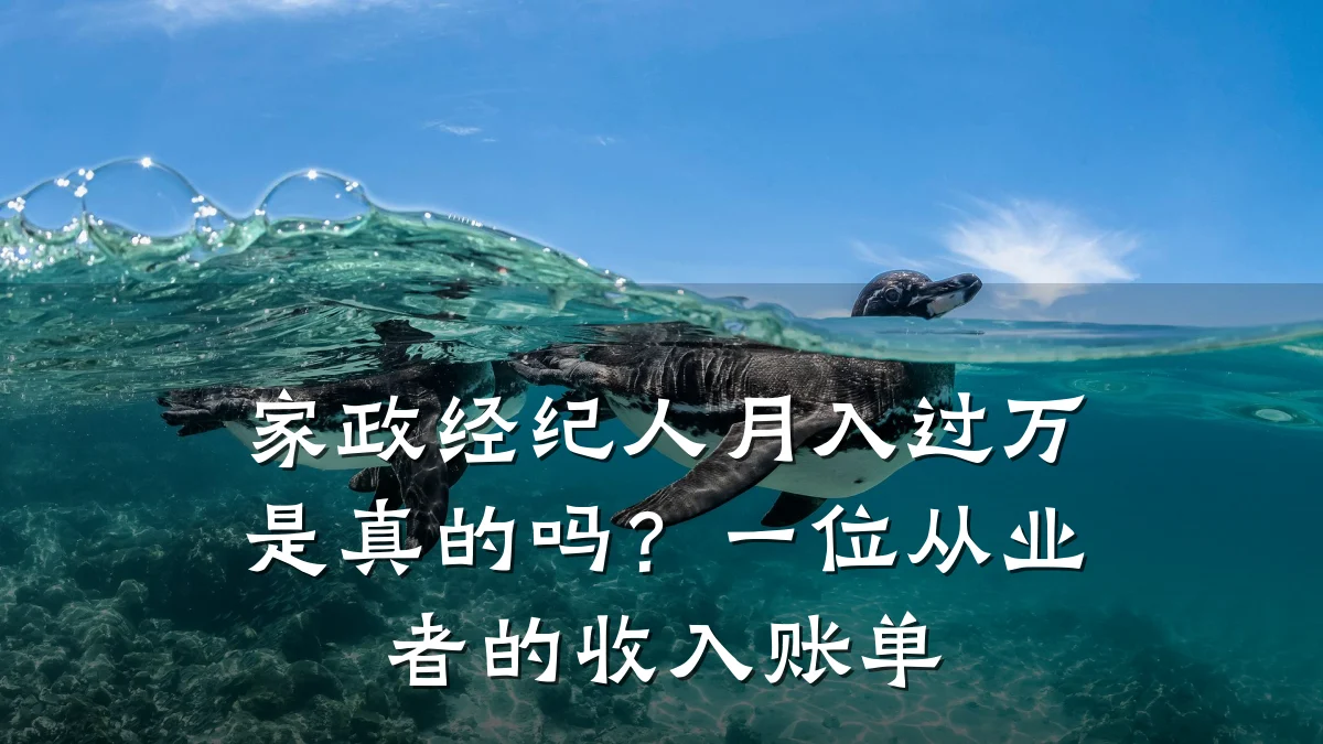 家政经纪人月入过万是真的吗?一位从业者的收入账单
