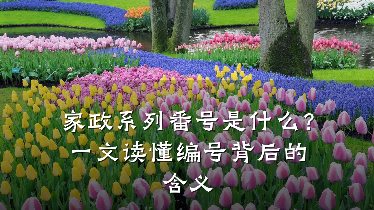 家政系列番号是什么?一文读懂编号背后的含义