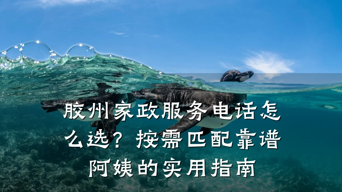 胶州家政服务电话怎么选?按需匹配靠谱阿姨的实用指南