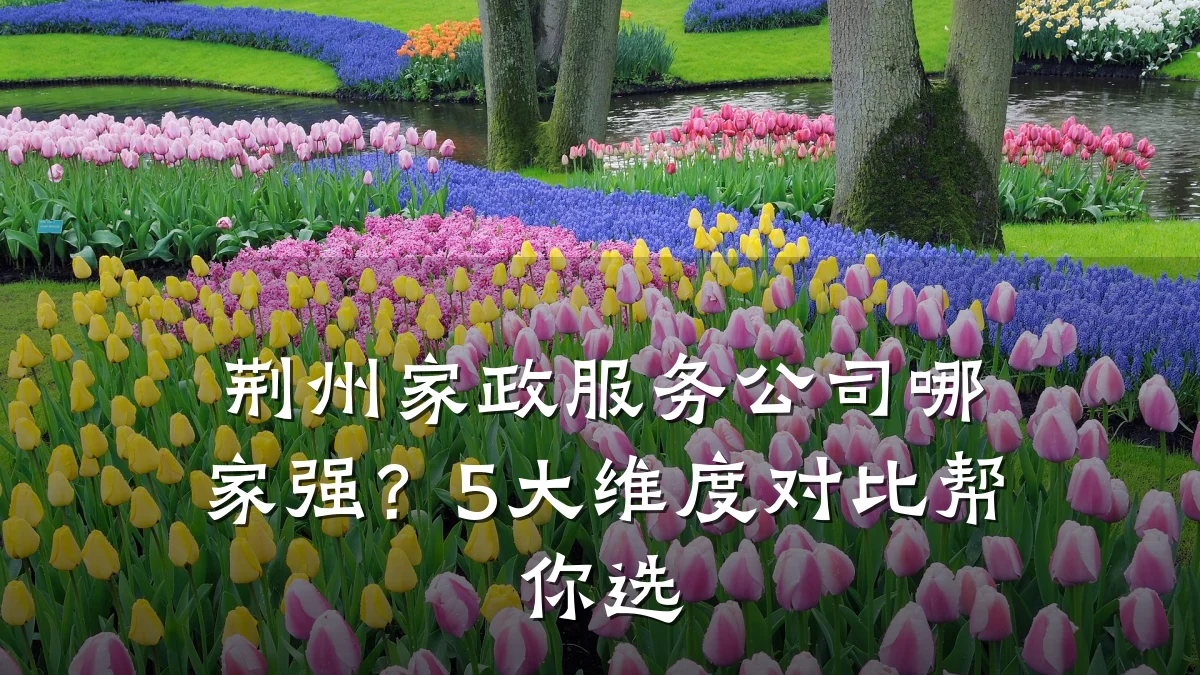 荆州家政服务公司哪家强？5大维度对比帮你选