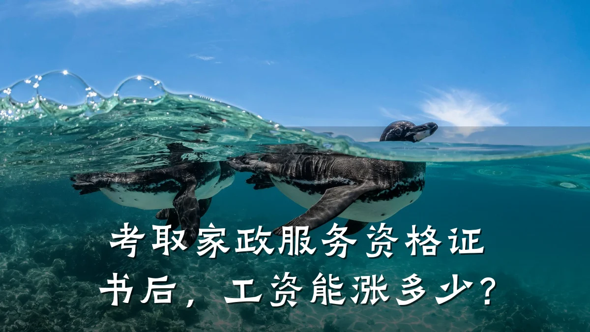 考取家政服务资格证书后,工资能涨多少?
