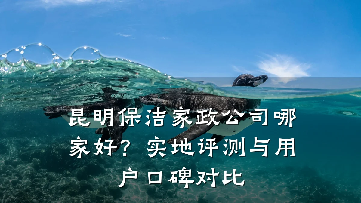 昆明保洁家政公司哪家好？实地评测与用户口碑对比