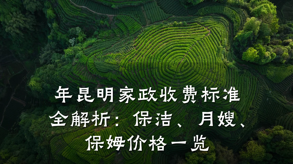 年昆明家政收费标准全解析：保洁、月嫂、保姆价格一览