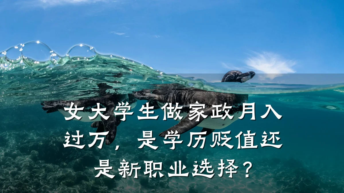 女大学生做家政月入过万，是学历贬值还是新职业选择？