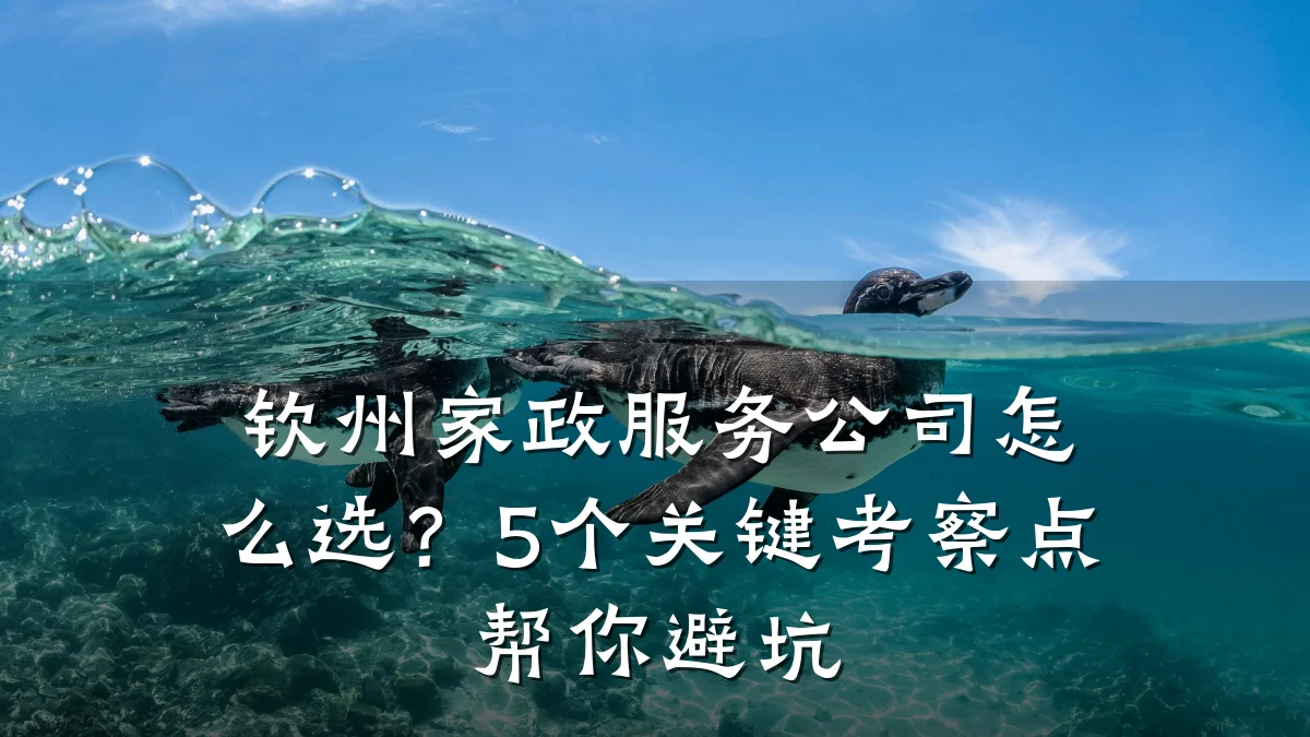 钦州家政服务公司怎么选?5个关键考察点帮你避坑