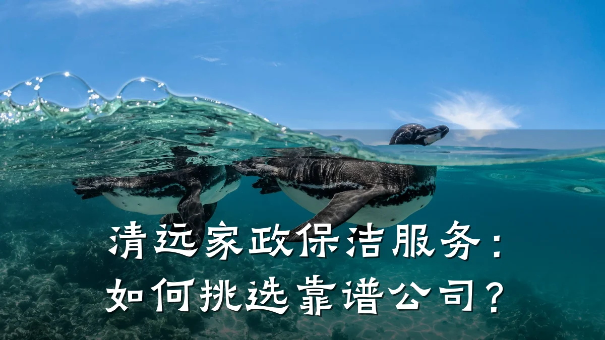 清远家政保洁服务:如何挑选靠谱公司?