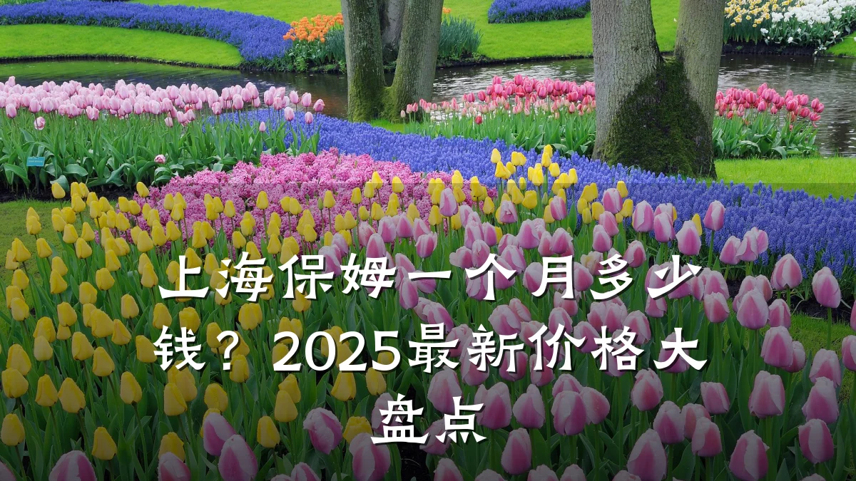 上海保姆一个月多少钱？2025最新价格大盘点