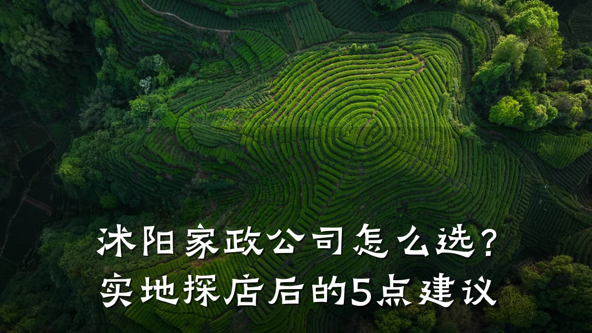 沭阳家政公司怎么选?实地探店后的5点建议