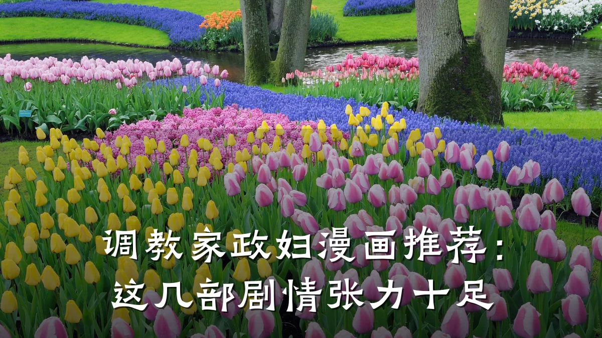 调教家政妇漫画推荐：这几部剧情张力十足