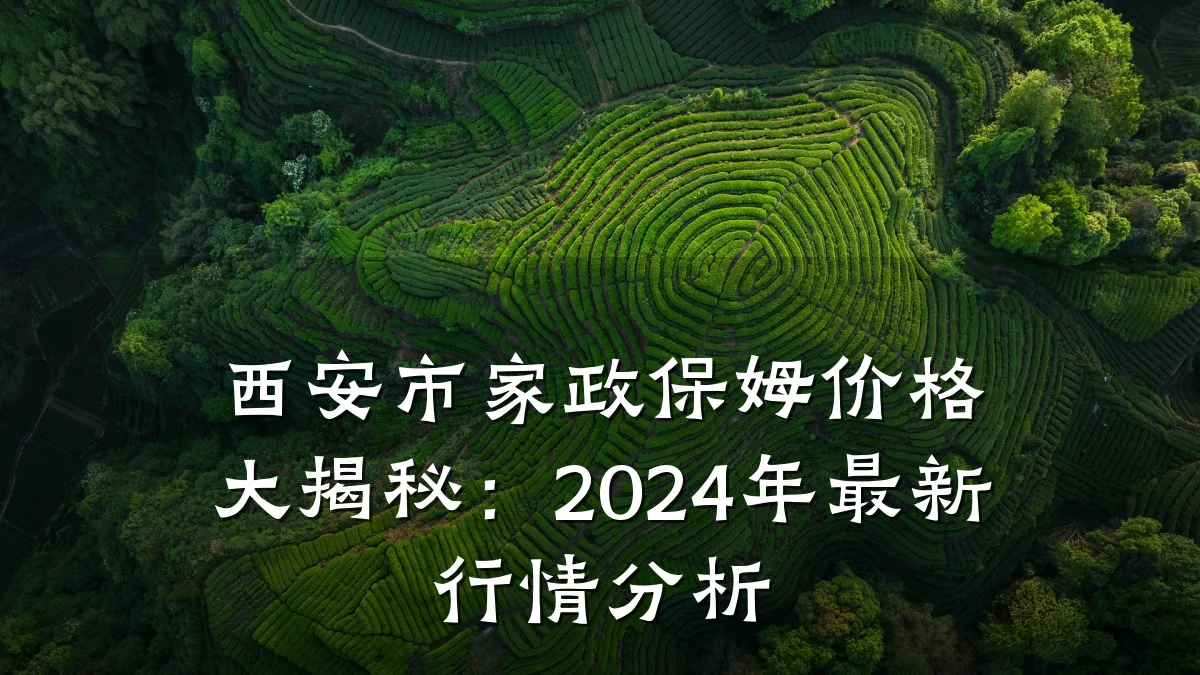 西安市家政保姆价格大揭秘:2024年最新行情分析