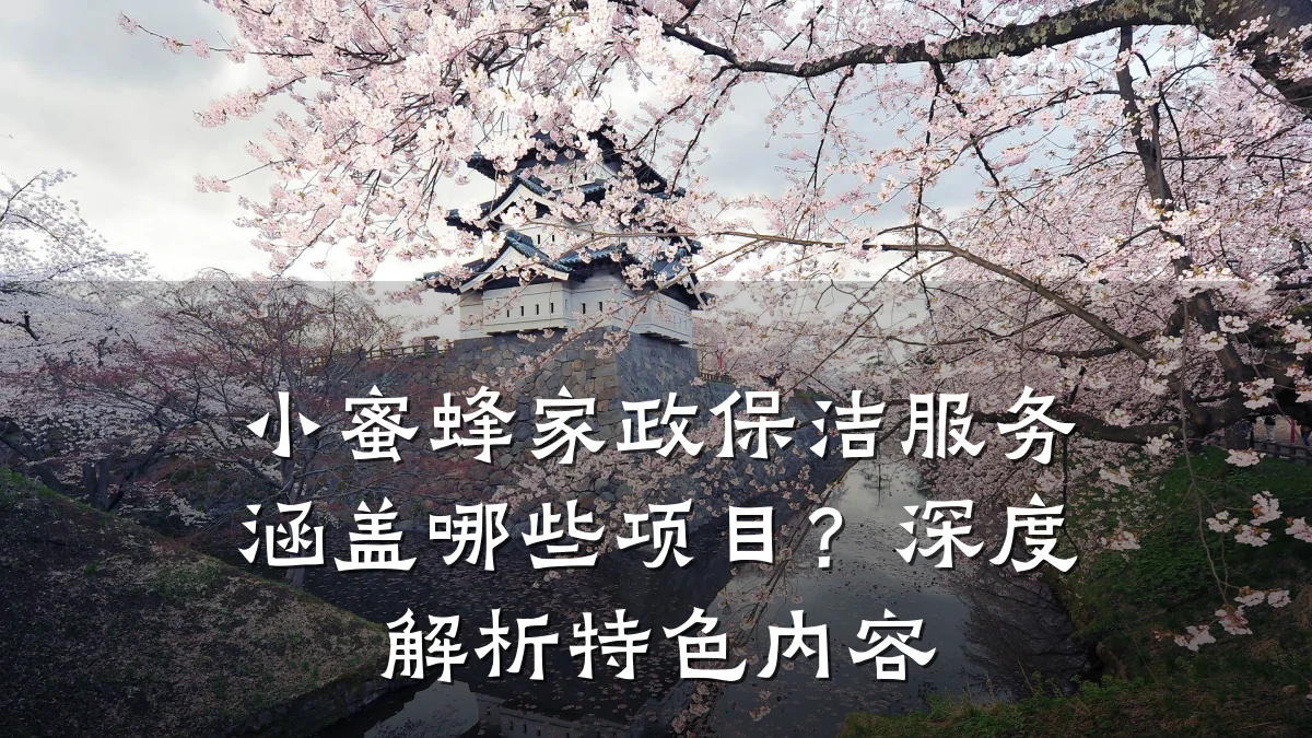 小蜜蜂家政保洁服务涵盖哪些项目?深度解析特色内容
