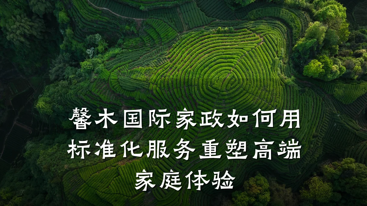 馨木国际家政如何用标准化服务重塑高端家庭体验