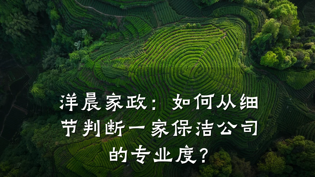 洋晨家政：如何从细节判断一家保洁公司的专业度？