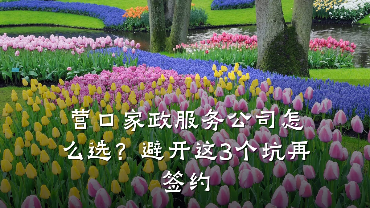 营口家政服务公司怎么选？避开这3个坑再签约