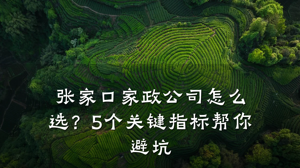 张家口家政公司怎么选？5个关键指标帮你避坑