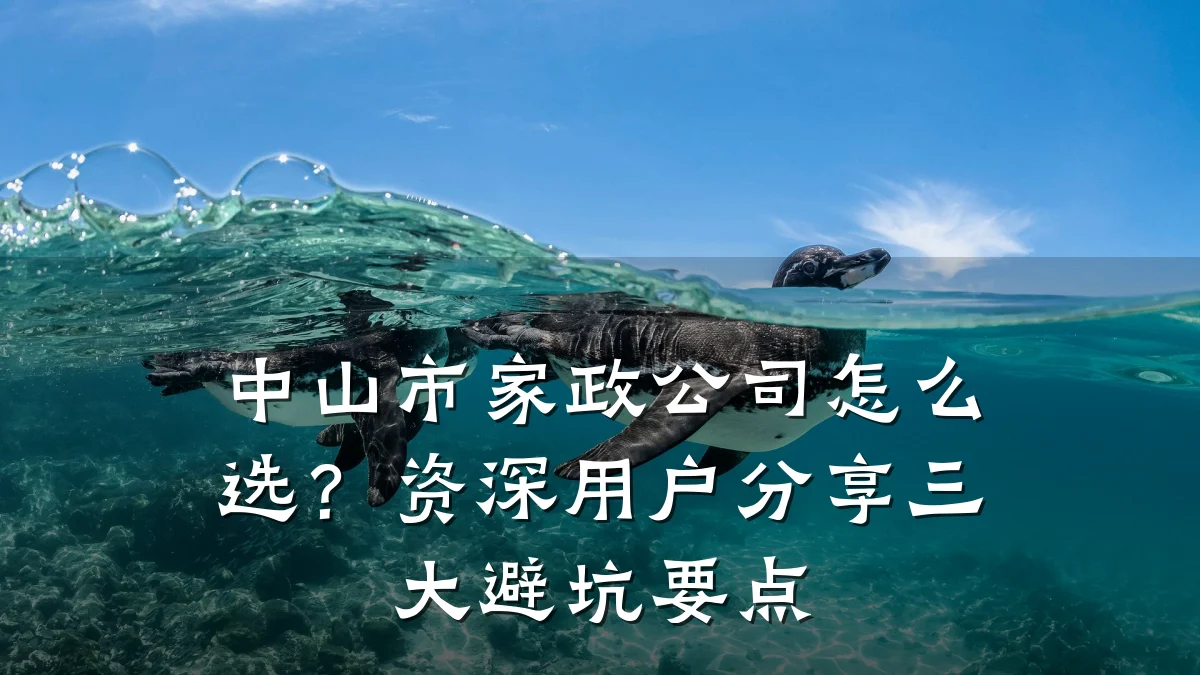 中山市家政公司怎么选？资深用户分享三大避坑要点