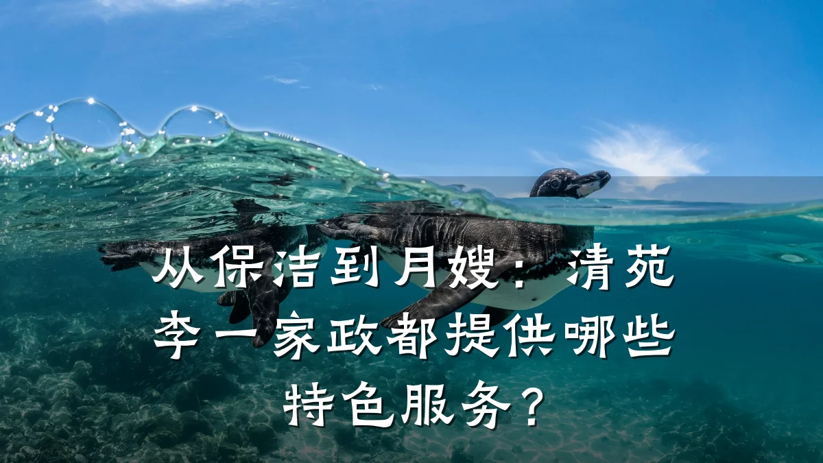 从保洁到月嫂:清苑李一家政都提供哪些特色服务?