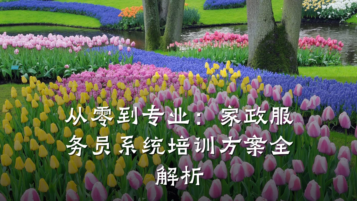 从零到专业：家政服务员系统培训方案全解析