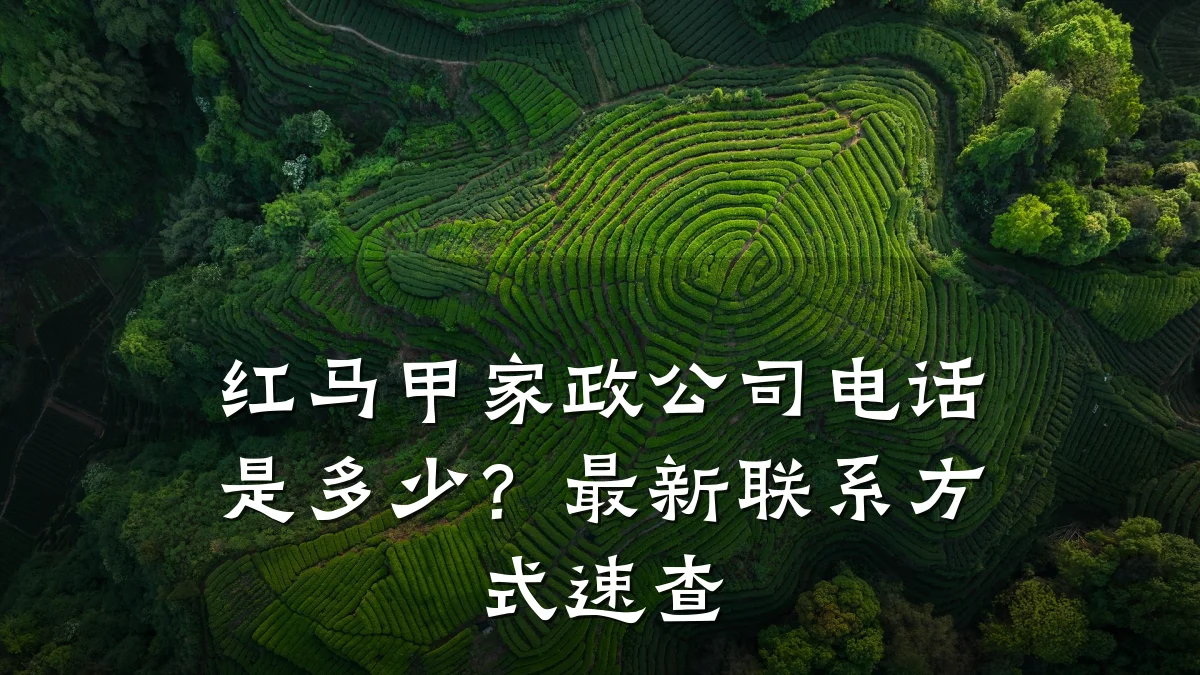 红马甲家政公司电话是多少?最新联系方式速查
