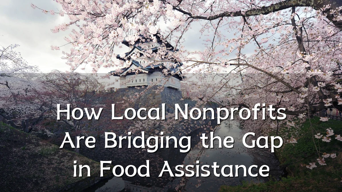 How Local Nonprofits Are Bridging the Gap in Food Assistance