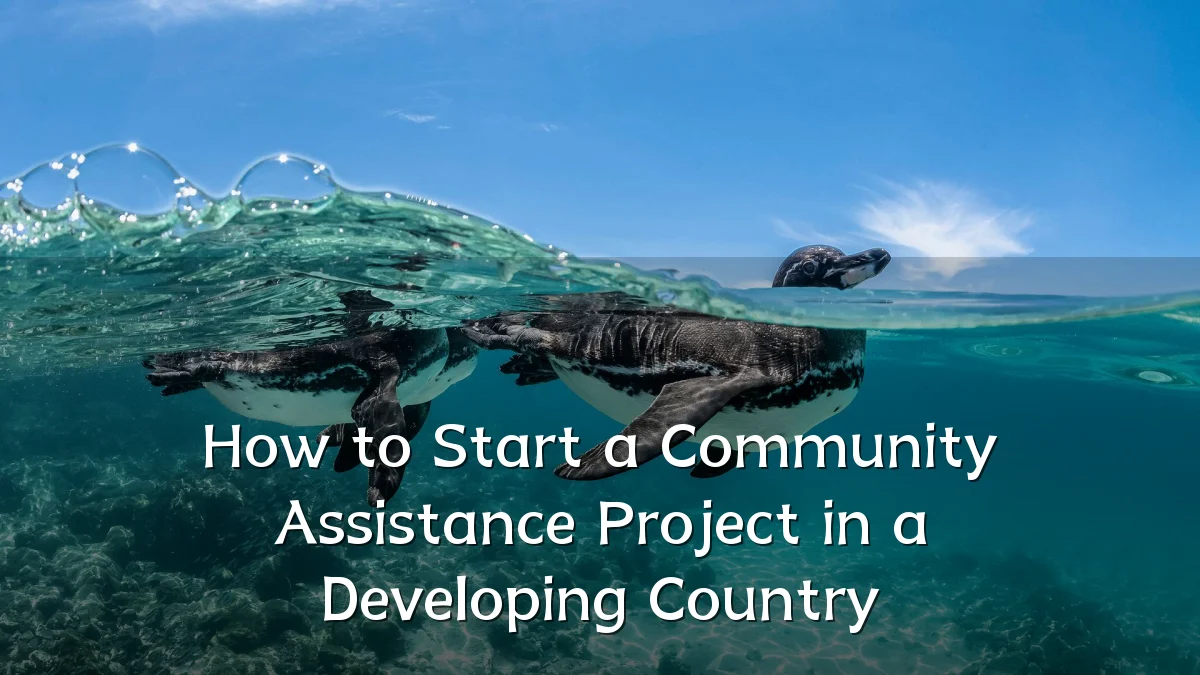 How to Start a Community Assistance Project in a Developing Country