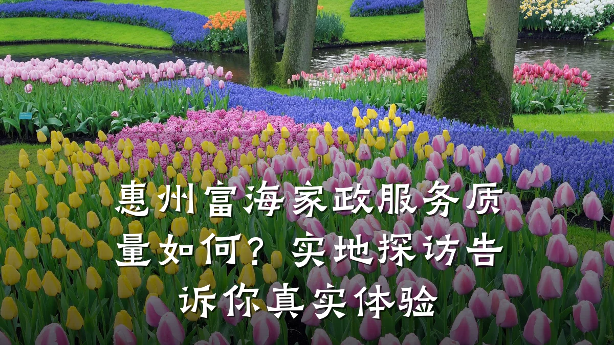 惠州富海家政服务质量如何?实地探访告诉你真实体验