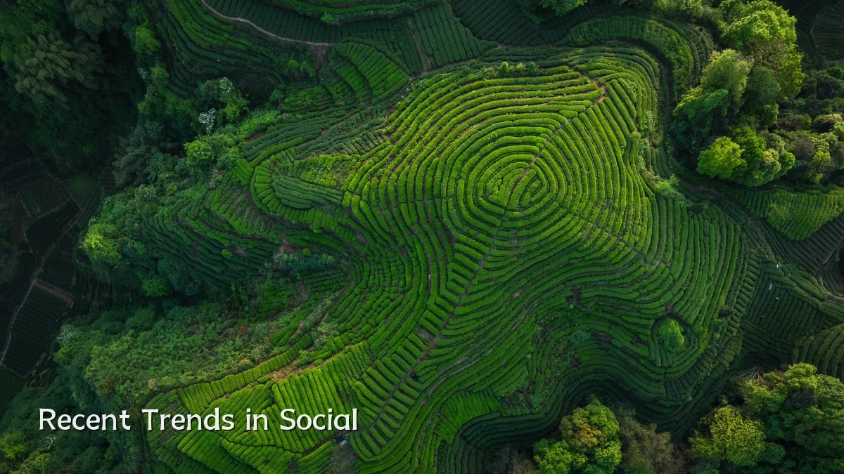 Recent Trends in Social