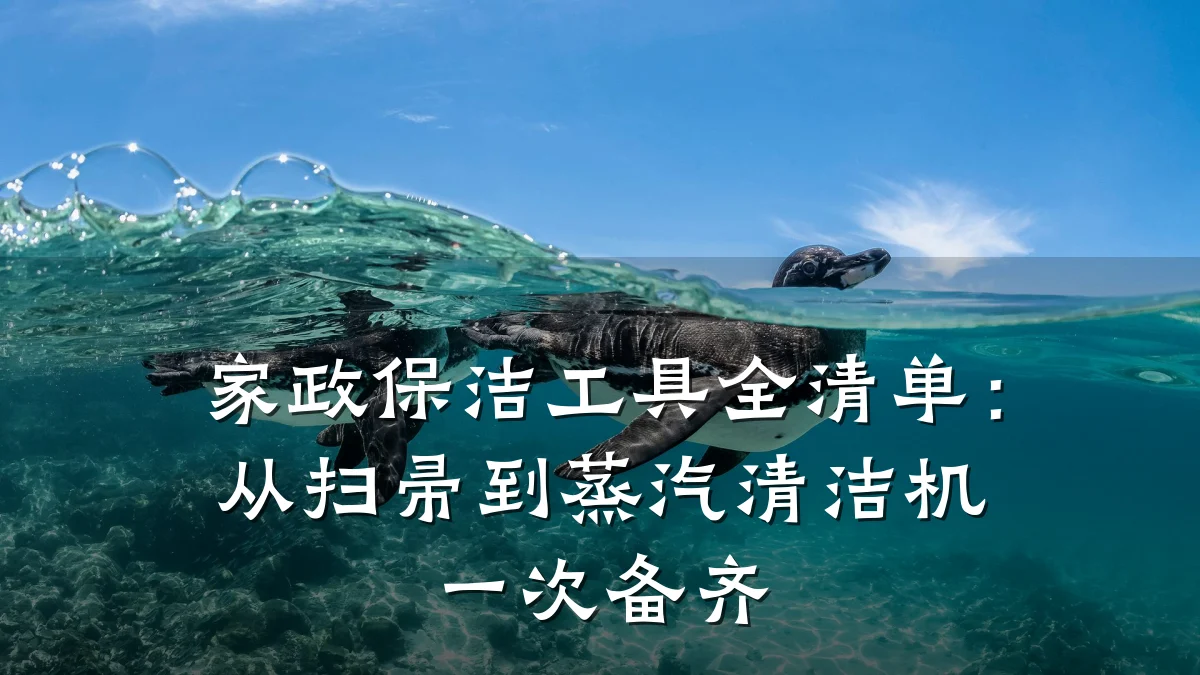 家政保洁工具全清单:从扫帚到蒸汽清洁机一次备齐