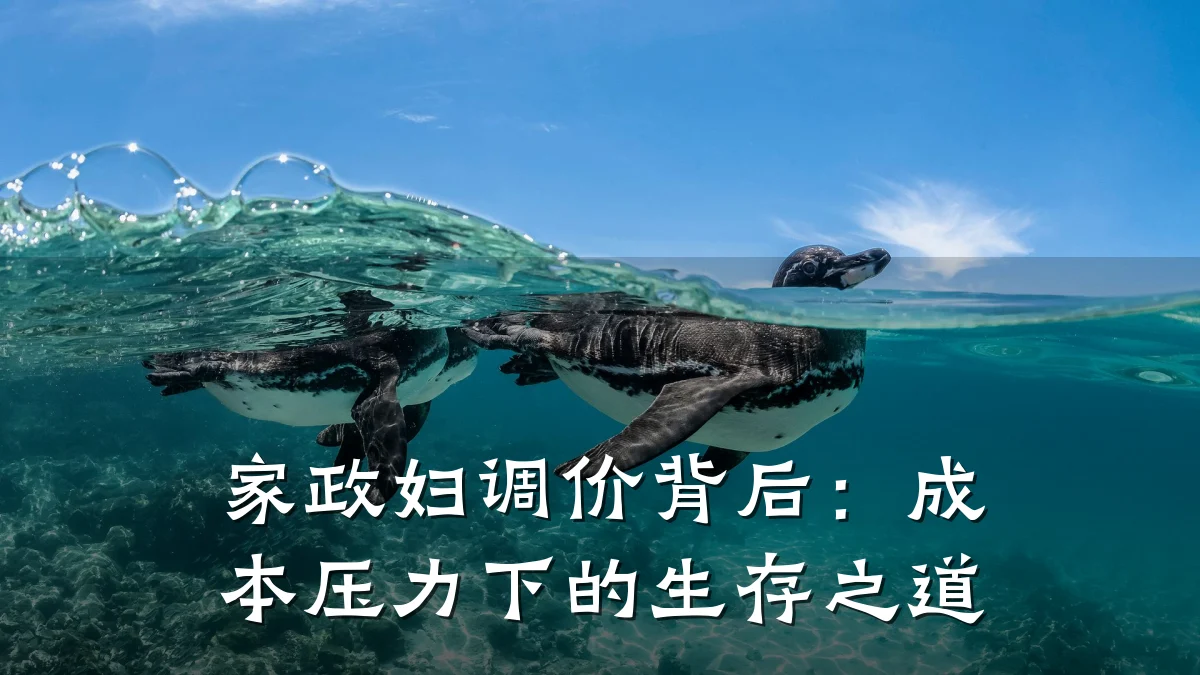 家政妇调价背后：成本压力下的生存之道