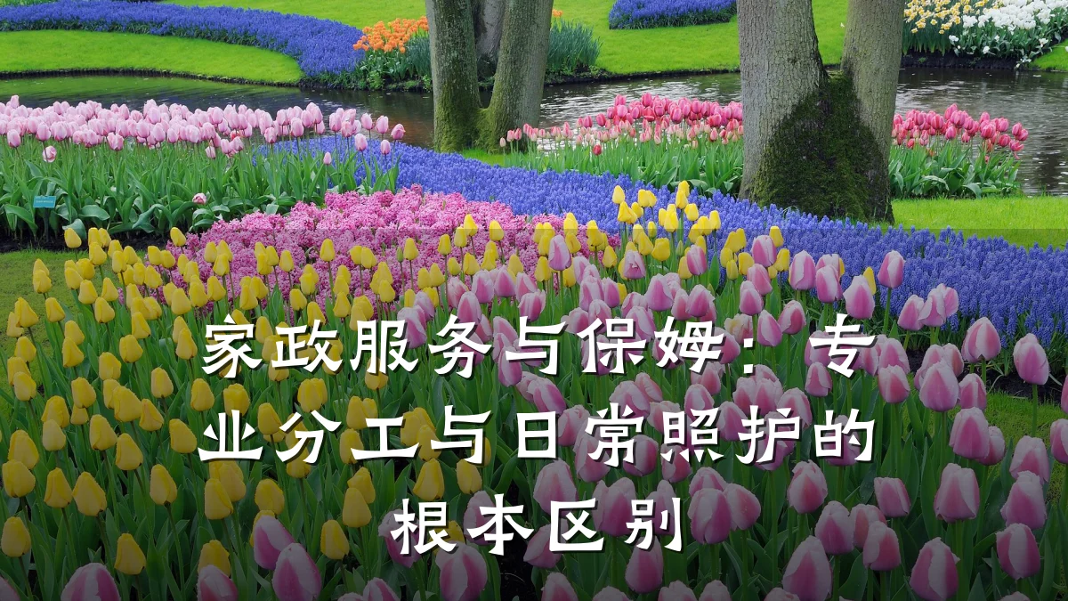 家政服务与保姆:专业分工与日常照护的根本区别