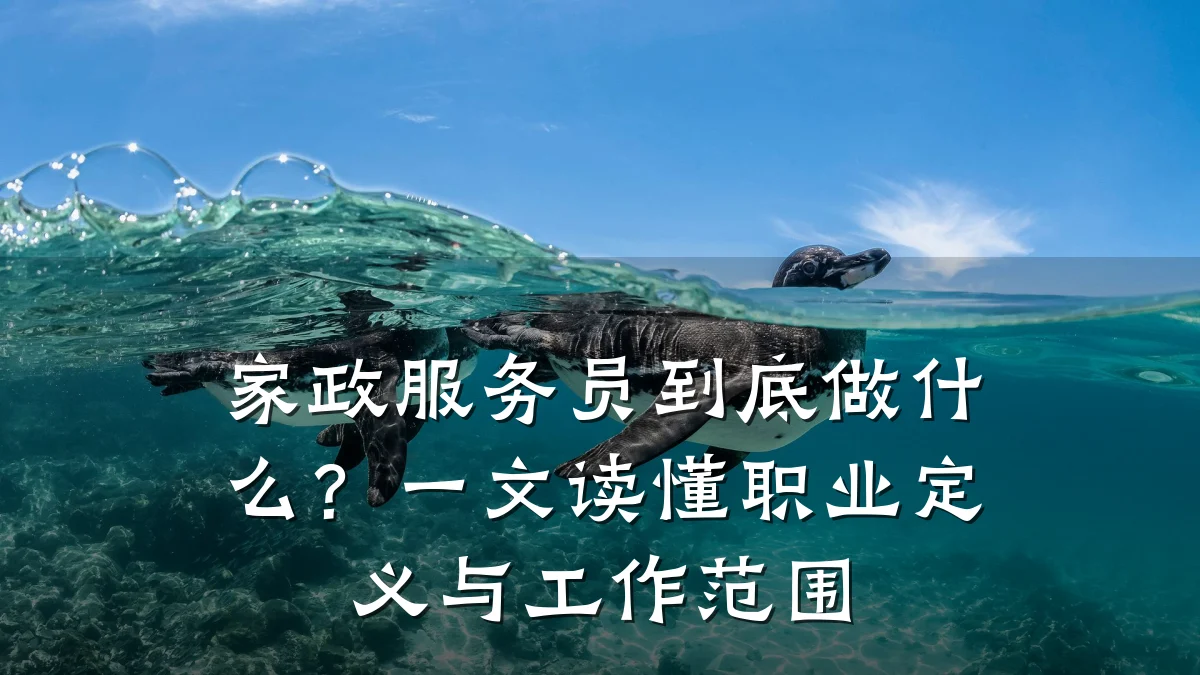 家政服务员到底做什么?一文读懂职业定义与工作范围